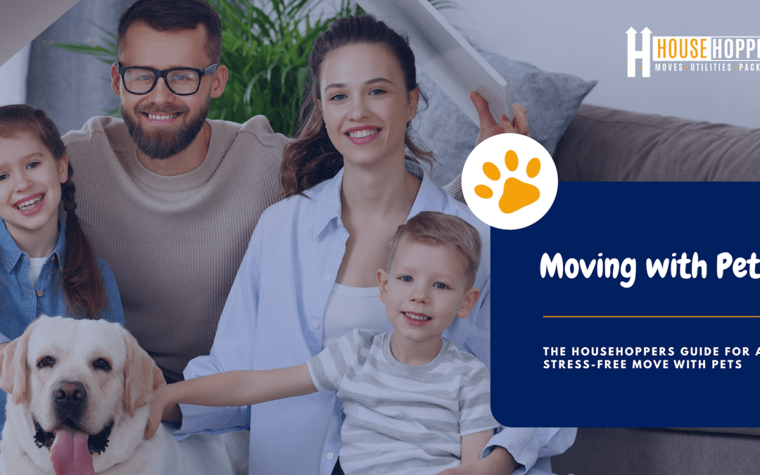 Moving with Pets The Househoppers guide for a stress-free move with pets
